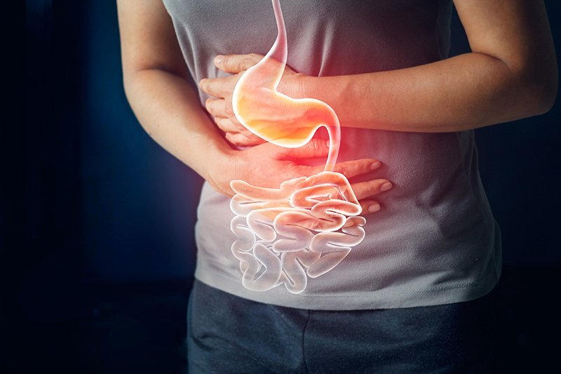 Planta de romero (Rosmarinus officinalis) utilizada en tratamientos naturales para la gastritis y la salud digestiva