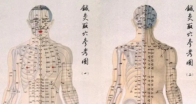 Gráfico detallado de los meridianos de acupuntura en el cuerpo humano, mostrando las líneas centrales y principales rutas energéticas.