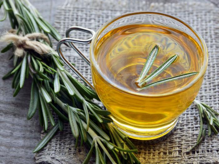 Taza de té de romero, un remedio casero para aliviar los síntomas de la gastritis y mejorar la salud gastrointestinal
